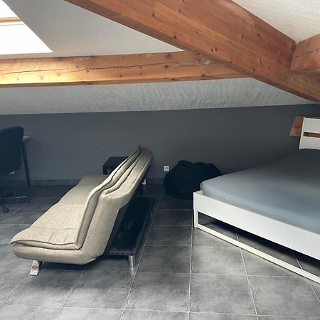 Studio7 Proche Fac Climatise Albi Exterior foto